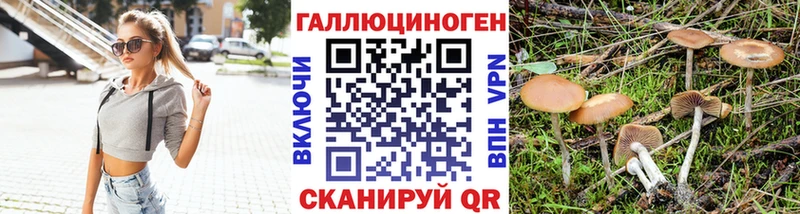 Псилоцибиновые грибы мицелий  Саянск 